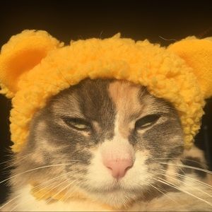 Meet your Posher, Zoe